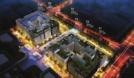 丰隆区最新爆料,揭秘神秘项目背后的惊人真相